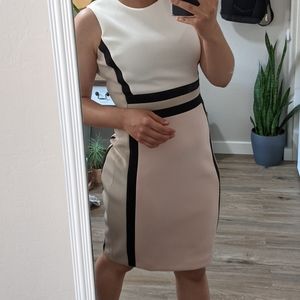 Calvin Klein neutrals block color dress